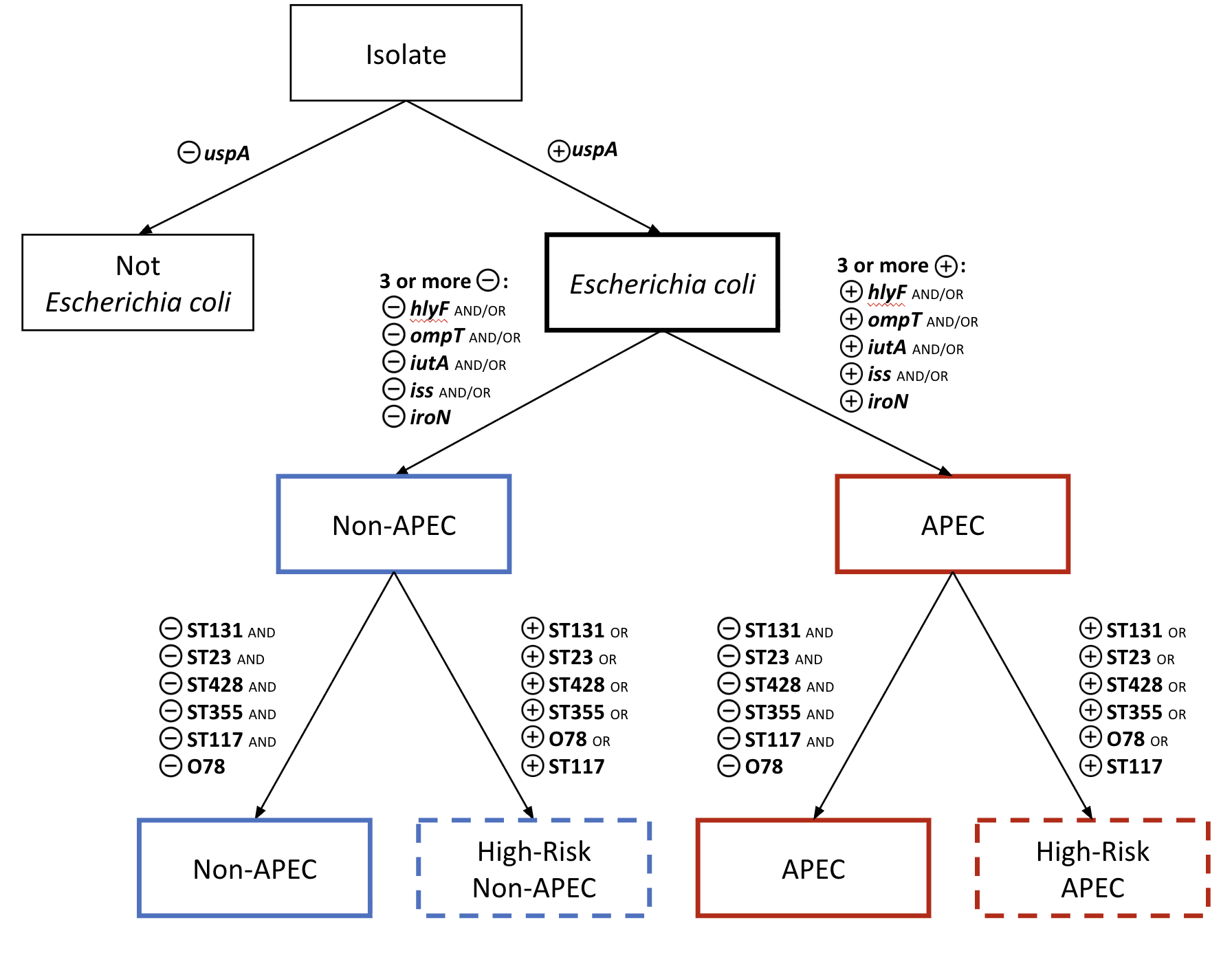 Figure 1. Scheme for revised typing of avian pathogenic E. coli (APEC)